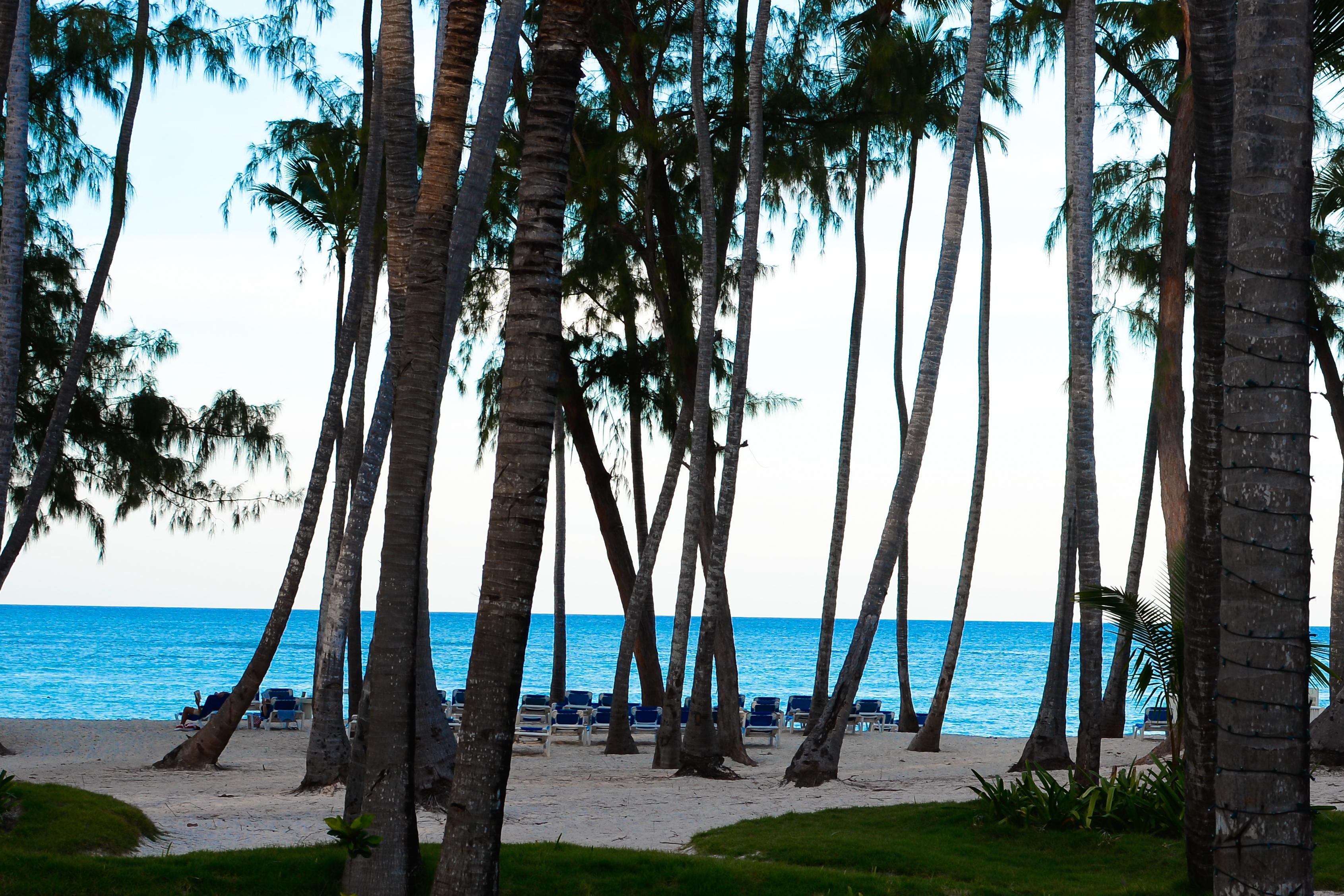 Vista Sol Punta Cana 호텔 외부 사진