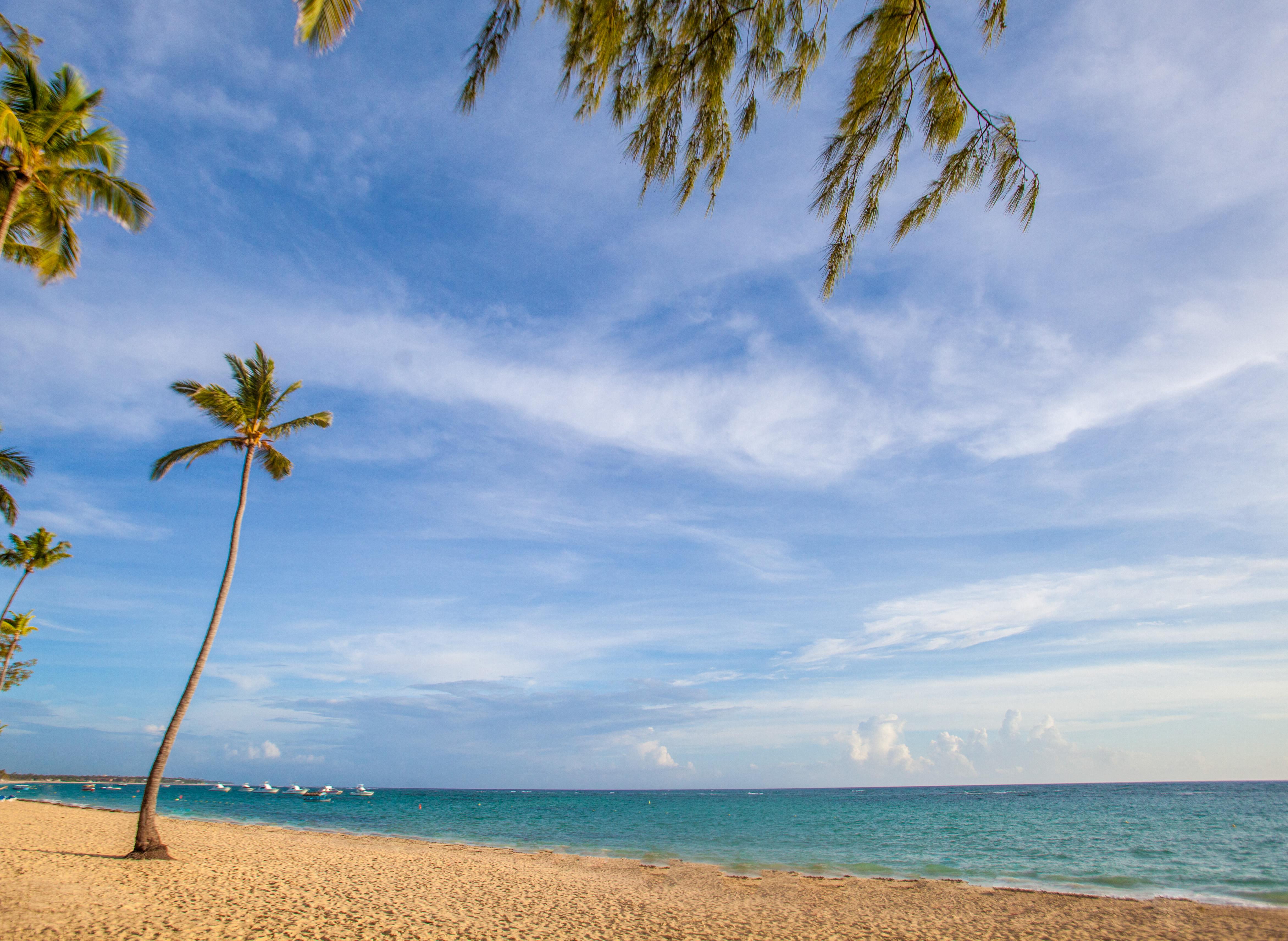 Vista Sol Punta Cana 호텔 외부 사진