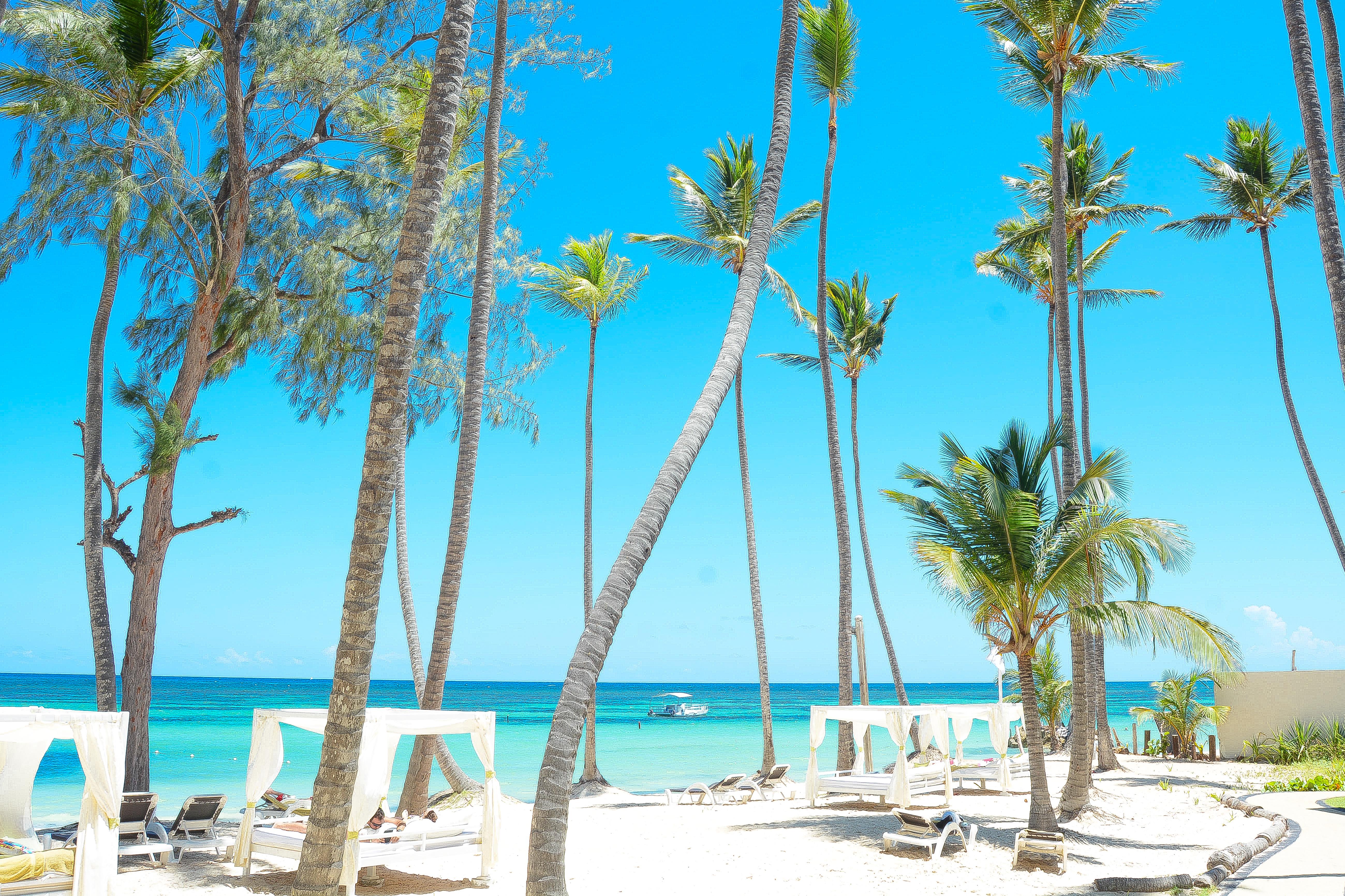 Vista Sol Punta Cana 호텔 외부 사진